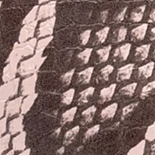 Camera - Image 6