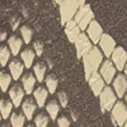 Cinzia - Image 6