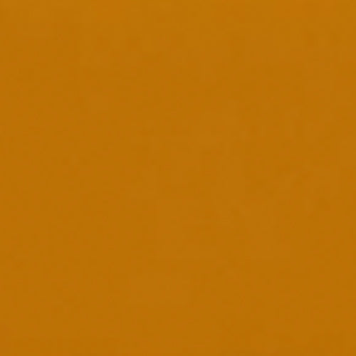 Frida - Image 6